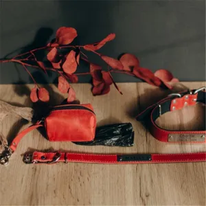 Red leather dog collar and leash set with poop bag holder pet accessories for dogs.