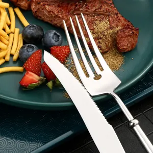 Set di coltelli e forchette da bistecca in acciaio inossidabile, elegante e utile.