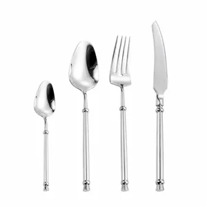 Set di posate in acciaio inossidabile, coltello, forchetta e cucchiai eleganti per la cucina.