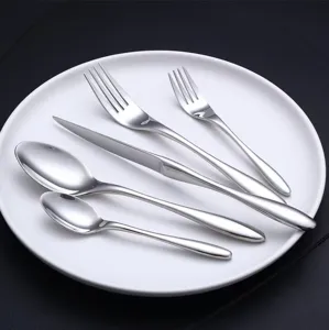 Dettaglio di un set di posate in acciaio inossidabile elegante disposto su piatto.