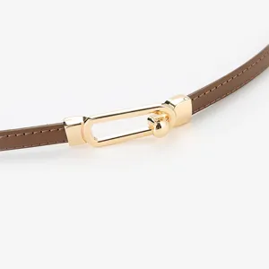 Elegant women's thin leather belt with stylish gold metal buckle for dresses and coats.