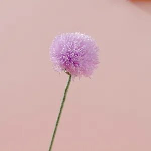 Fiore artificiale tarassaco in filato lavorato a mano bouquet pon-pom viola arredo