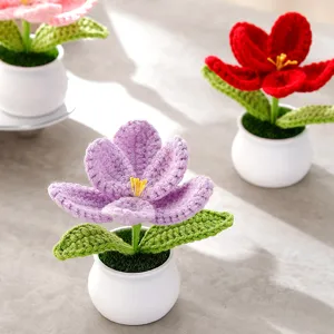 Handgemachte Häkel-Tulpe im Topf Detail, süße Woll-Strickblume Tischdeko Deko-Objekt.