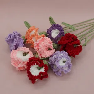 Bouquet di garofani all'uncinetto fatto a mano, bellissimo regalo lavorato a maglia.