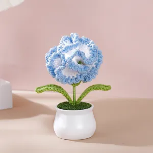 Handcrafted crochet carnation potted plant, blue and white yarn flower with white ceramic pot.