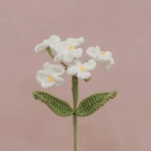Vista ravvicinata e dettagliata di un fiore non-ti-scordardimé bianco fatto all'uncinetto.