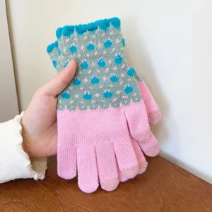 Detailed view of women's warm knit touchscreen winter gloves with pink and grey patterns.