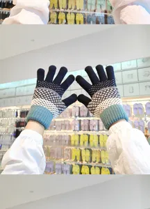 Winter warm knitted gloves for men and women, fleece lined touch screen five fingers.