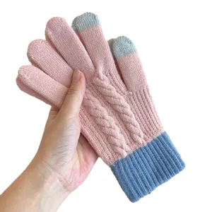 Strick-Touchscreen-Handschuhe Detail, rosa blaue Zopfmuster Farbblock Winter warme Fünffinger.
