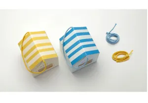Close-up of striped house shaped gift boxes with windows and matching handles.