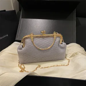 Elegant pleated evening bag with gold chain strap, vintage kiss-lock metal clasp, and stylish handle.