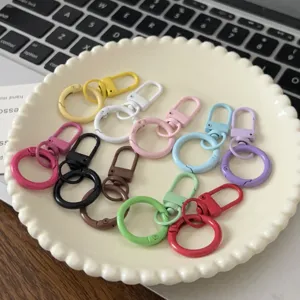 Set di moschettoni a molla colorati assortiti per portachiavi fai da te e accessori.