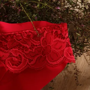 Sexy red lace panty featuring exquisite floral embroidery and a low waist design. Detail shot style.