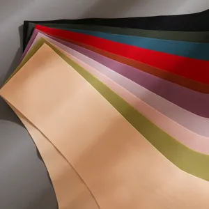 Campioni di colore in tessuto per biancheria intima in seta di ghiaccio senza cuciture.