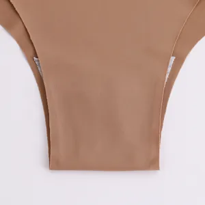 Seamless women briefs detail view, smooth ice silk fabric, comfortable solid color underwear.