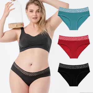 Women's Sexy Seamless Lace Panties Low Waist Breathable Nylon Hollow Out Briefs For Women Lingerie Lingerie Accessories