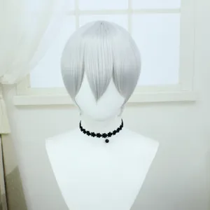 Korte zilveren cosplay pruik gemaakt van synthetische hoge temperatuur vezel, 28cm universeel anime haar.