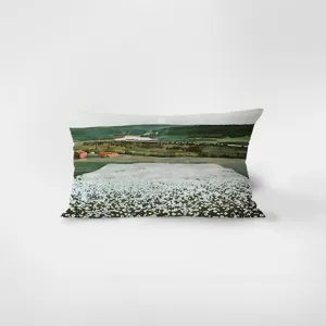 Rectangular velvet throw pillow featuring scenic landscape painting print, soft home decor.