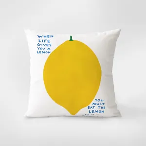 Decorative throw pillow cover with artistic yellow lemon design and funny text quote for sofa bed.