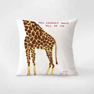 Close-up detail of white decorative throw pillow featuring artistic giraffe print and text.