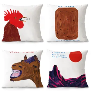 Housse de coussin décorative de style artistique drôle, taie en flanelle douce pour canapé.