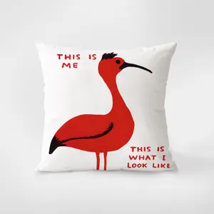 Decorative throw pillow featuring a cute red bird print and funny English text, soft velvet.