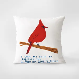 Decorative throw pillow featuring a cute red cardinal bird and funny text, perfect for sofa room.