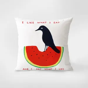 Decorative throw pillow with artistic black bird and watermelon design, soft cushion cover for sofa.
