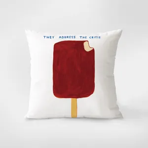 Gros plan détaillé du coussin artistique avec motif de glace rouge et citation anglaise.