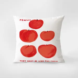 Decorative throw pillow with cute peach illustrations and inspiring text for living room sofa.