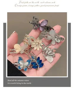 Sweet butterfly hair clips set, French retro side hairpins and claw clips for women.