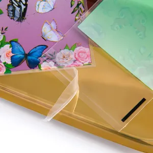 Vista detallada de bolsas de embalaje transparentes autoadhesivas de mariposa para joyas y pequeños.