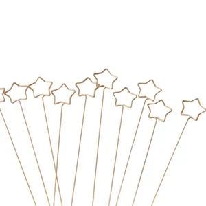 Gold metal star wire card holder detail close-up, floral arrangement memo clip accessory.