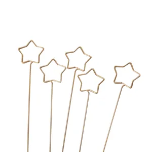 Gold metal star card clip detail, floral pick arrangement accessories for display use.