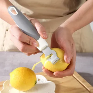 Vista dettagliata dello zester per limoni e grattugia per formaggio in acciaio inossidabile.
