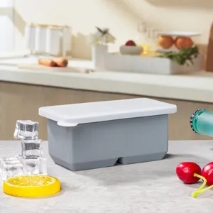 Silicone ice cube mold dual-grid ice tray detail view with white lid for home kitchen