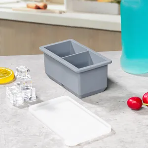 Detail view of a grey 2-compartment silicone ice cube mold with white lid, household kitchen tool.