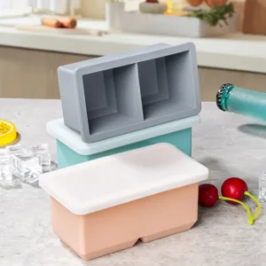 2-compartment silicone ice cube mold with lid, square frozen box for home kitchen use.