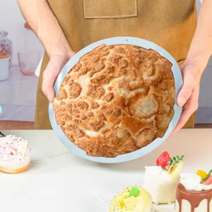 Runde Silikon Kuchenform Backwerkzeug fur Hauskche und leckere Desserts Zubereitung.