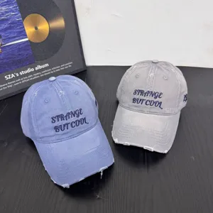 Gorra de béisbol desgastada con bordado, sombrero de estilo urbano informal en azul y gris.
