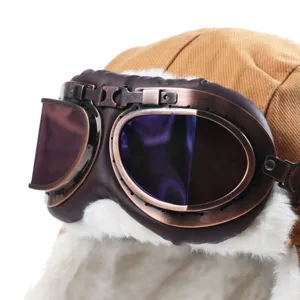 Gedetailleerd overzicht van de winter pilotenmuts met een stijlvolle bril en warme bontvoering.