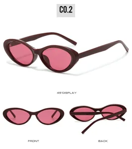 Vintage oval cat eye sunglasses for women, trendy retro pink lens eyewear street style.