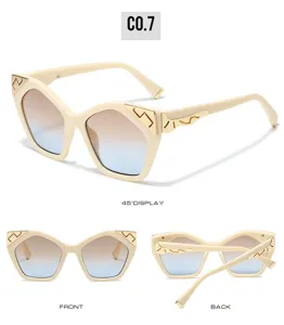 Stylish cat-eye sunglasses for women with gradient lenses and chic metallic side details for daily wear.