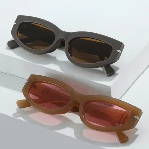 Retro cat-eye zonnebril voor dames en heren, trendy kleine montuur stijlvolle bril.