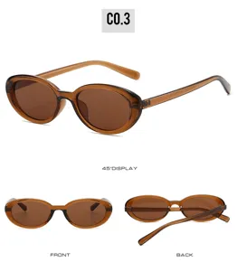Brown retro cat-eye sunglasses detail view showing temples, hinges and tinted lenses clearly.