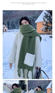 Detaillierte Nahaufnahme des winterlichen grünen Plüschschals mit Tasche und Fransen.
