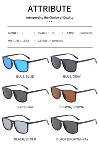 Détail de lunettes de soleil polarisées avec plusieurs options de coloris et monture PC.