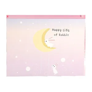 Pink gradient gift box with cute rabbit moon illustration, large packaging box for holidays.