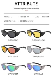 Polarized windproof sunglasses outdoor fishing glasses PC frame lightweight unisex eyewear variant display
