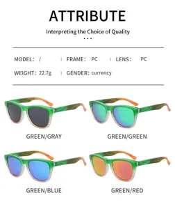 Lunettes de soleil polarisées de plage Coupe du Monde 2026, monture PC légère et sportive.
